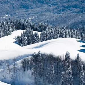 香蕉网站在哪里看
